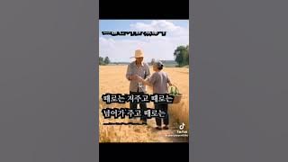 🌻Love Story / Vanny Vabiola 🌷영화 Love Story, OST / Andy Williams 