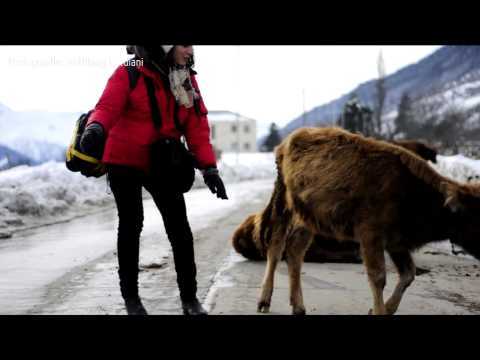 ოთხი თავზე ხელაღებული მოგზაური (პრემიერა მალე)