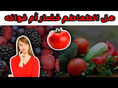فيديو: كيف تختلف الطماطم عن الطماطم؟ الفرق من حيث المصطلحات. هل يصح تسمية الخضار - طماطم أم طماطم؟
