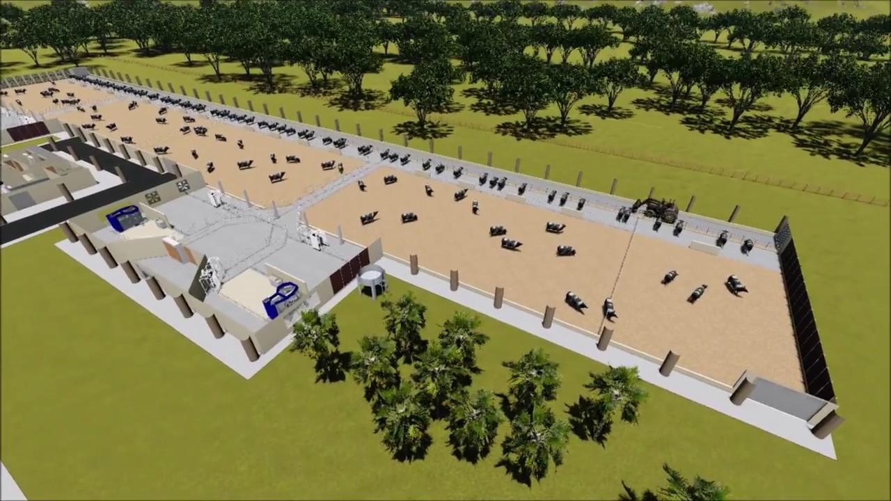 Ordenha robotizada, Brasilia-DF