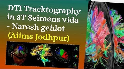 (Aiims Jodhpur) DTI Tracktography in 3T Seimens Vida - Naresh Gehlot