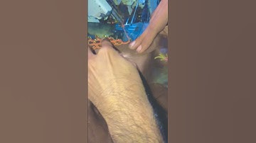 Dabal sevan 11 #pico #sewing #pico2023newdesigns #picomachine #pikomaster2 #machine #allaboutpico