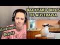 OVERRUN BY CUTE BIRDS - KOOKABURRAS & MAGPIES | AMERICAN REACTS