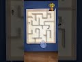 Extreme Maze Race | Bombardier Beetles Battle
