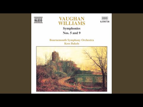 Symphony No. 5 in D Major: I. Preludio: Moderato - Allegro - Tempo I