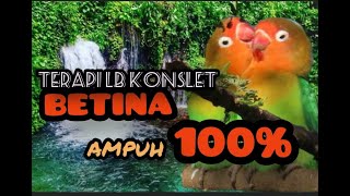 AMPUH..MASTERAN LB KONSLET BETINA SPEED LAMBAT