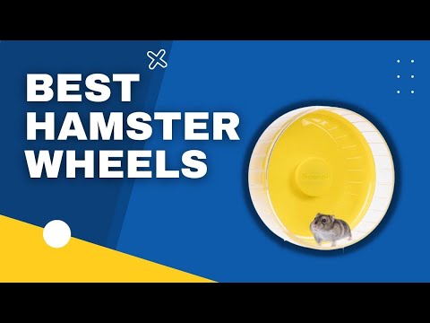 TOP 3 Best Hamster Wheels in 2023