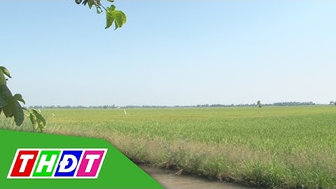 Khởi động dự án thoát lũ tại Đồng Tháp Mười | THDT