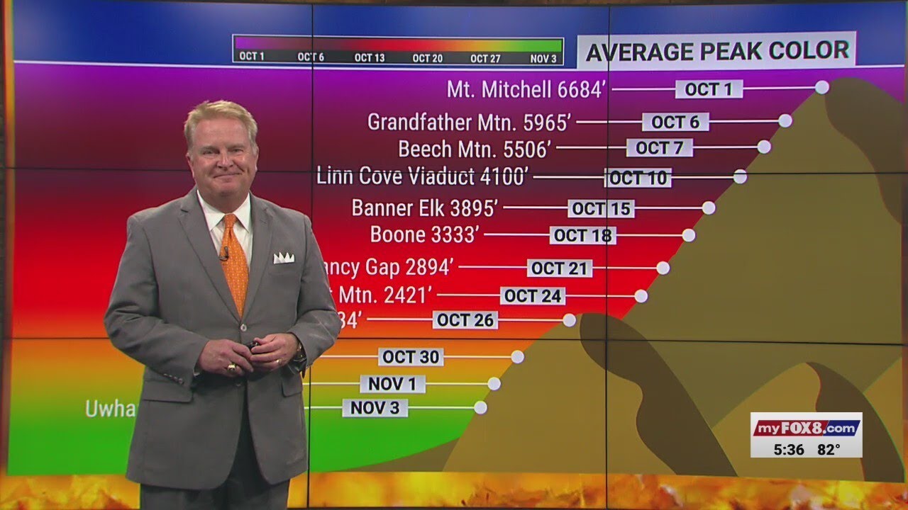 Your 2025 fall foliage forecast for North Carolina's Piedmont Triad ...