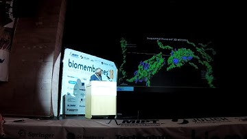 Markus Sauer "Single-molecule Localization Microscopy. Where Next?"