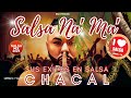 CHACAL - SALSA NA&#39; MA&#39; - SUS EXITOS EN SALSA URBANA - SALSA MIX 2024 - CHACAL BEST OF