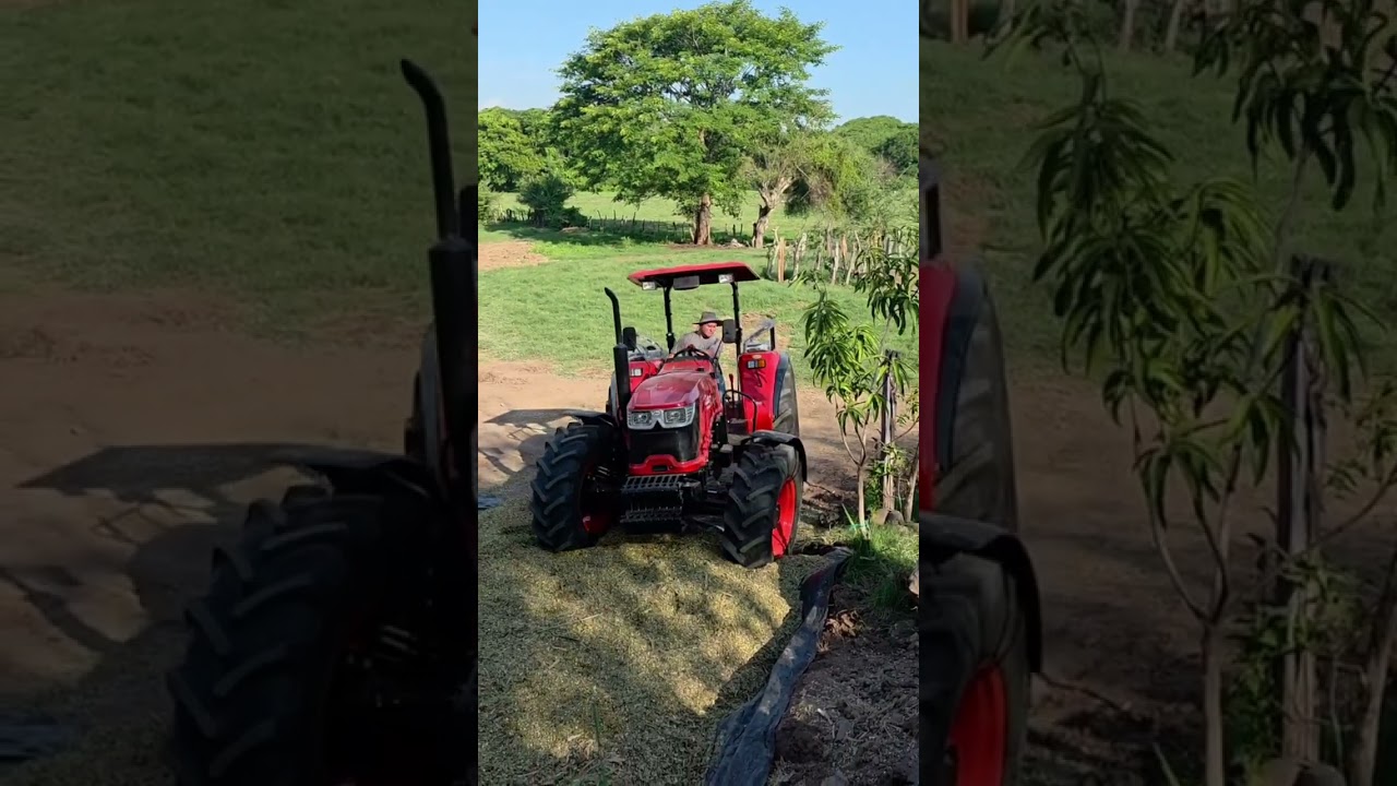 Producir la comida para tu ganaderia es buena opcion?