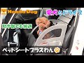 【Honda純正】Honda Dog ペットシートプラスわん 【愛犬とドライブ】