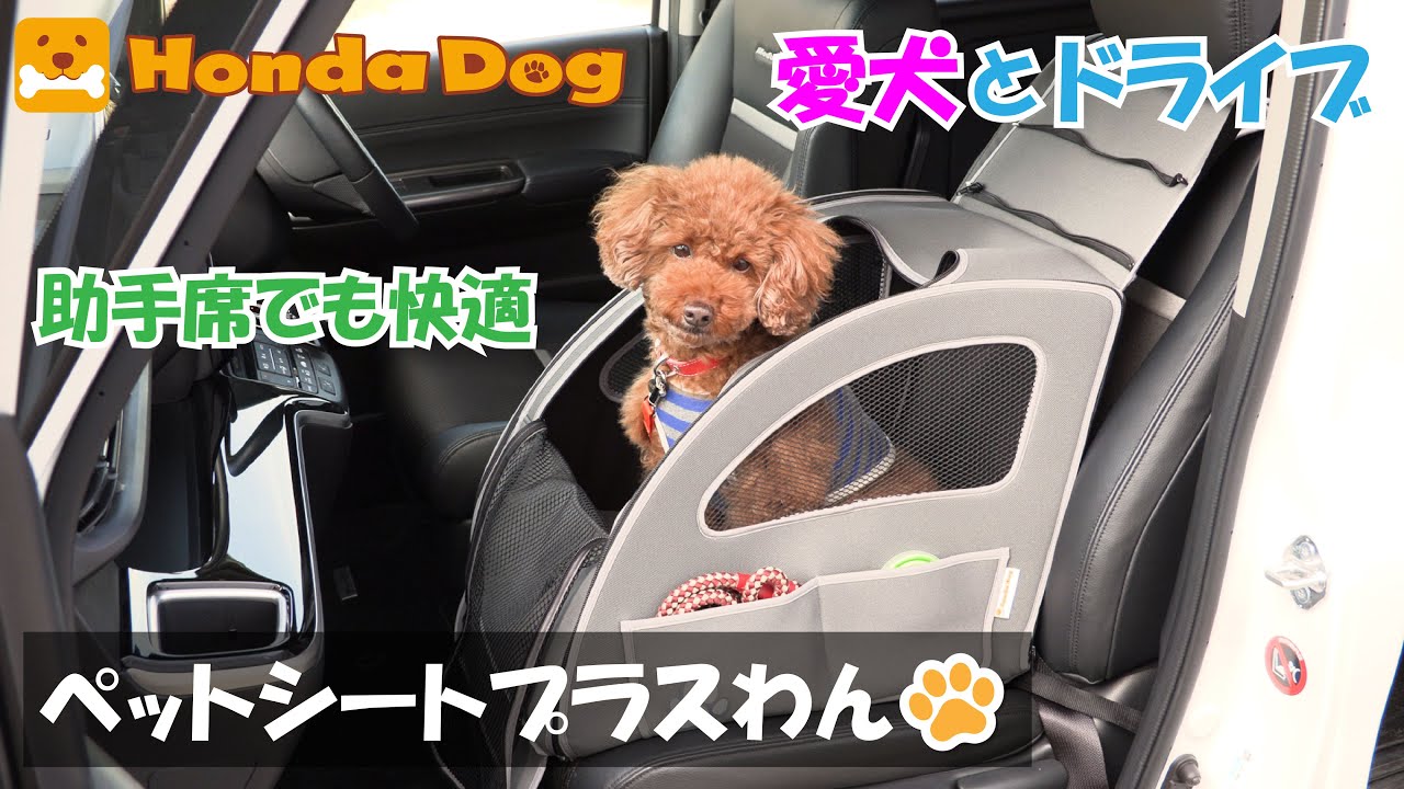 Honda純正】Honda Dog ペットシートサークル【愛犬とドライブ】 - YouTube