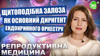 Аутоімунний Тиреоїдит. Захворювання Щитоподібної Залози.