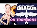 How to train your dragon  raphael strasser
