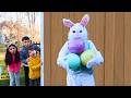 Egg Hunt with Bunny Heidi and Zidane!! Who Finds The Most Eggs?!