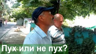 #АНАПА 🌞 ТОПОЛИНЫЙ ПУХ, жара, июнь... Улица Терская, и двор возле нашего дома на Крестьянской, 26. #АНАПА 🌞 ТОПОЛИНЫЙ ПУХ, жара, июнь... Улица Терская, и двор возле нашего дома на Крестьянской, 26.