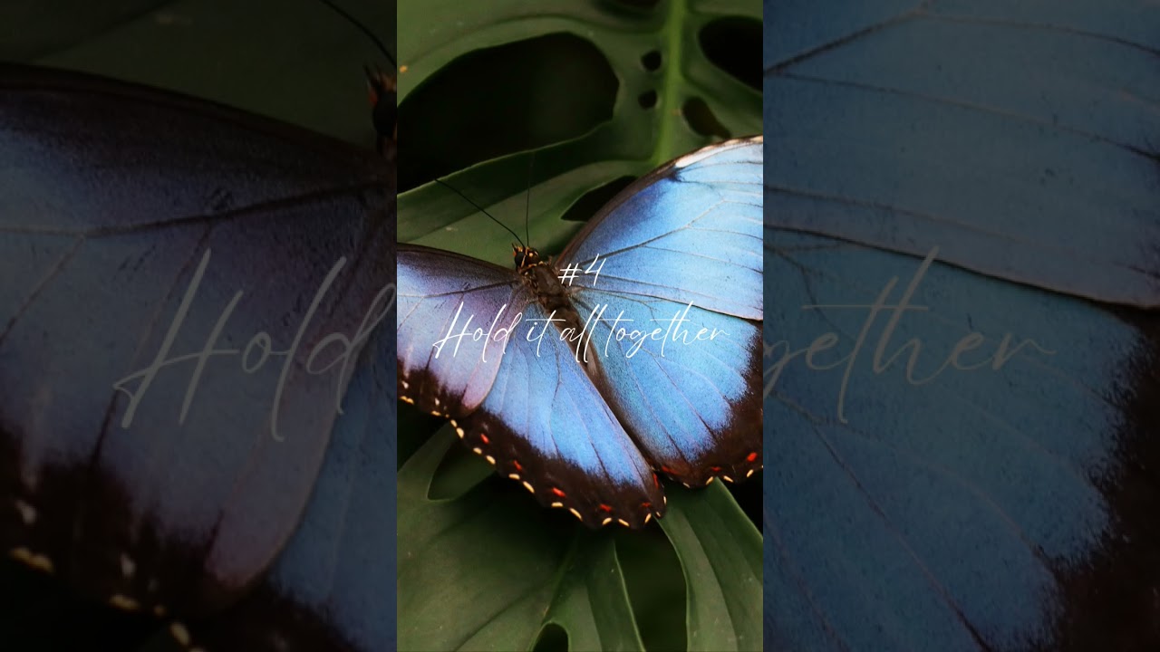 My 5 Favourite Songs from Real growth takes time | Sody