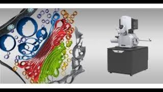 Cryo-Electron Tomography | Cryo Fib Milling Practice | Thermo Scientific Aquilos 2 Cryo-FIB
