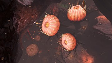 How to find Gold Trivalve eggs in Deep Lilypad Islands - Subnautica: Below Zero