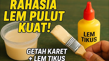 Cara Membuat Lem Pulut Burung dari Getah Karet & Lem Tikus – Lengket Kuat & Tahan Lama!
