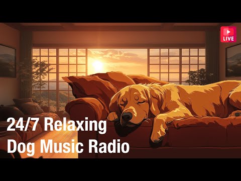 🔴[LIVE] Relaxing Calm Music for Dogs 24/7 - YouTube