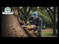 Bradford Tree Surgeons - Tree Services - West Yorkshire - 01274 271715 - https://treesurgeonsbradford.co.uk

When it comes to expert tree care in Bradford, West Yorkshire, look no further than Bradford Tree Surgeons. We’re the trusted name in professional tree surgery, delivering reliable solutions for all your tree care needs.

Whether you’re dealing with an overgrown tree in need of precision tree trimming or require complete tree removal for safety and space, our skilled team of certified arborists is here to help. We specialise in everything from tree maintenance to efficient stump removal, ensuring your property remains safe, tidy, and visually appealing.

Facing storm damage? Our responsive storm cleanup services tackle fallen branches and uprooted trees, restoring order quickly and efficiently. At Bradford Tree Surgeons, we prioritise your satisfaction with every job, big or small.

We combine the latest tools with years of expertise to deliver safe, environmentally-friendly services that protect your property and enhance its natural beauty. Trust us for personalised advice and top-notch tree care in every season.

Contact Bradford Tree Surgeons today—where quality tree surgery meets unmatched customer care!
 
Bradford Tree Surgeons
Bradford Chamber Business Park, New Lane, BD4 8BX
01274 271715
https://www.treesurgeonsbradford.co.uk/
 
Tree Services Bradford, Tree Removal Bradford, Tree Trimming Bradford, Tree Care Bradford, Stump Removal Bradford

For more videos about Tree Services in Bradford check out this playlist: https://www.youtube.com/playlist?list=PLoVXezrqXUI-qArJjlRp1DwurcE0p790v