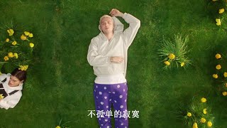 Lauv - Modern Loneliness [Simplified Chinese]