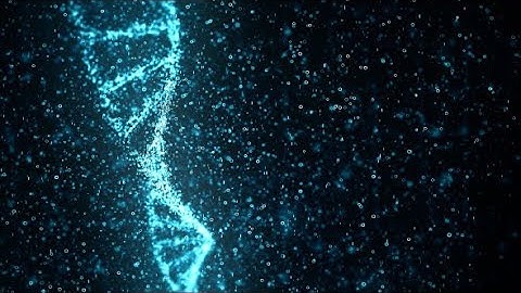 Digital DNA Molecule Structure | Motion Graphics - Videohive template