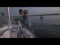 Eeling for Nighttime Stripers in Cape Cod Bay | S13 E4