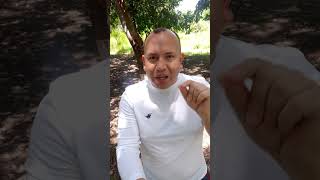 👉 Cómo SUBIR y OPTIMIZAR tus VIDEOS en YOUTUBE como un PRO 🚀 #Shorts