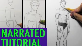 How to Draw Male Body Proportions [Narrated Tutorial] 