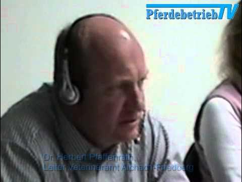 Expertenchat zum Thema Equine Infektiöse Anämie (Kurzversion) YouTube