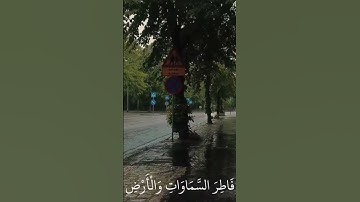 #اكسبلور #المصحف #قرآن #لايك #الرحمن #راحة_نفسية #تلاوات #تلاوة_خاشعة