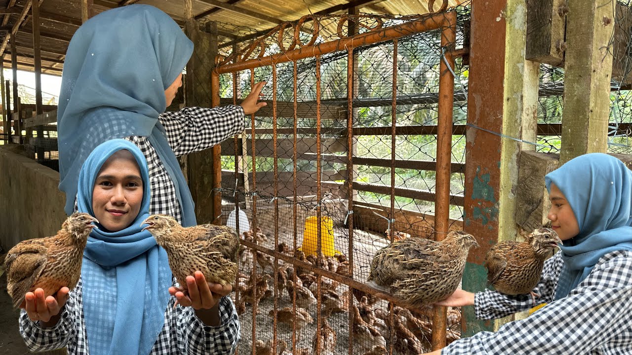 TAKUT NAK MASUK SINI SEBAB JAUH DARI JALAN BESAR …DAN ROZEK BORONG ...