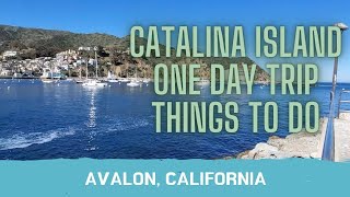 Southern California Catalina Island Day Trip | What to do in Avalon ONE DAY TRIP