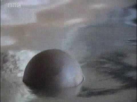 ядро ртути. сплав галлий индий олово. цветные металлы. жидкий сплав галлия. ртуть чугун.