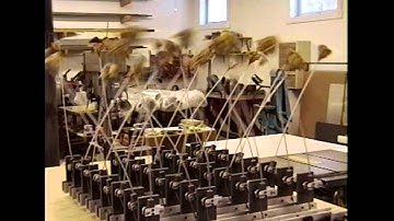 Canstruct in motion - video by Helge Bernhardt