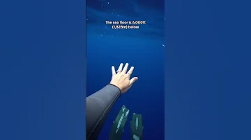 Did This Video Make You Anxious Thalassophobia Ocean Deepsea Deepwater Phobia 