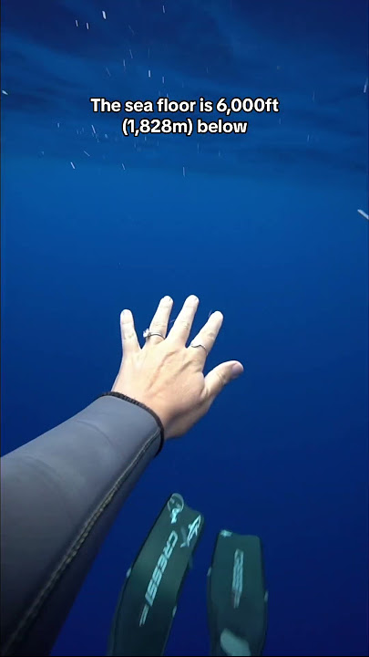 Did this video make you anxious?. 😳 #thalassophobia #ocean #deepsea #deepwater #phobia