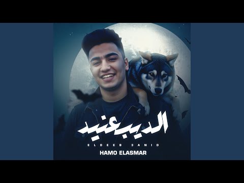 الديب عنيد