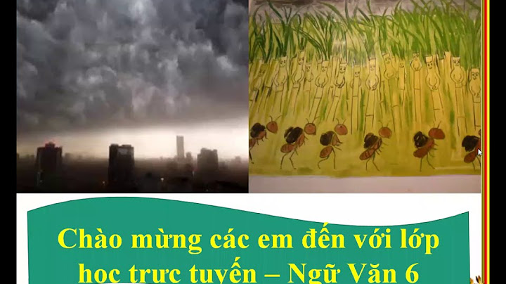 Có mấy kiểu nhân hóa cho ví dụ năm 2024