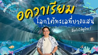 เปิดประสบการณ์โลกใต้ทะเลที่ อควาเรียม บางแสน | Bangsaen Aquarium