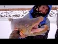 Ice Fishing for Giant Brown Trout - ft. Eric Haataja - 4K