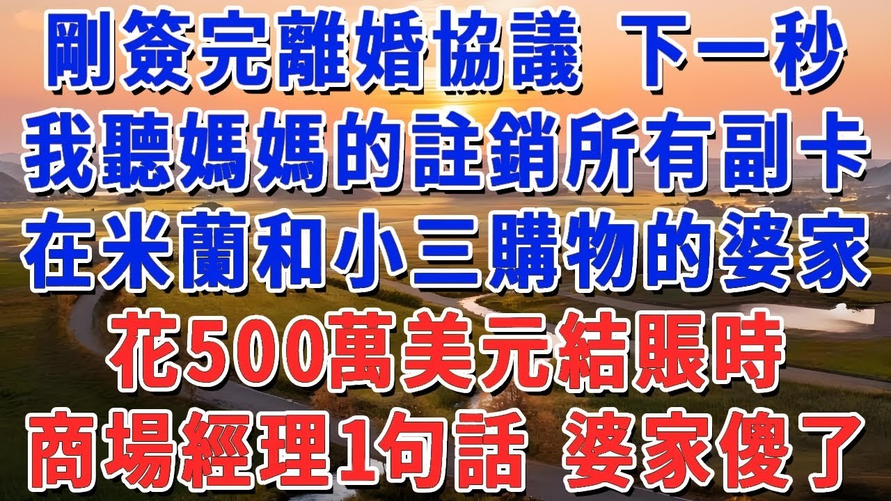 剛簽完離婚協議 下一秒，我聽媽媽的註銷所有副卡，在迪拜和小三購物的婆家，花500萬美元買奢侈品結賬時，商場經理1句話 婆家全傻了！#妮妮故事會 #情感故事 #老年生活