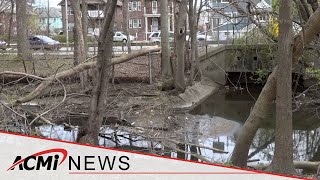 The Alewife Brook An Open Sewer For 5 More Years?