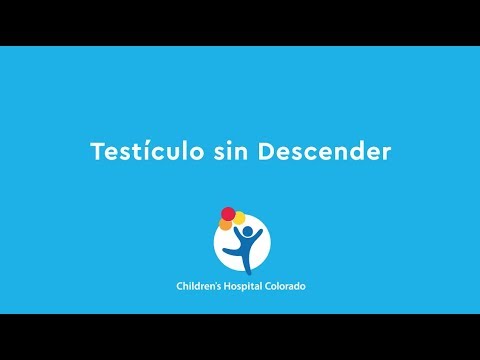 Video: Testículos No Descendidos En Caballos