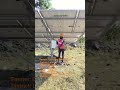 Madhuri Solar pump              #farming #pmkisanyojana #maharashtra #solarpanel #solarenergy #india
