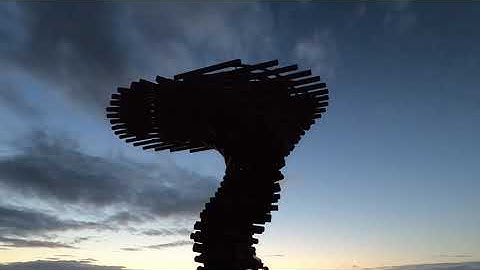 Thunder - Firebird (Official Visualiser)